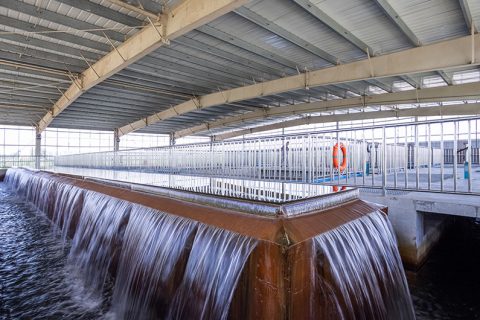 怎么保养多功效微型过滤机？？？？？？？